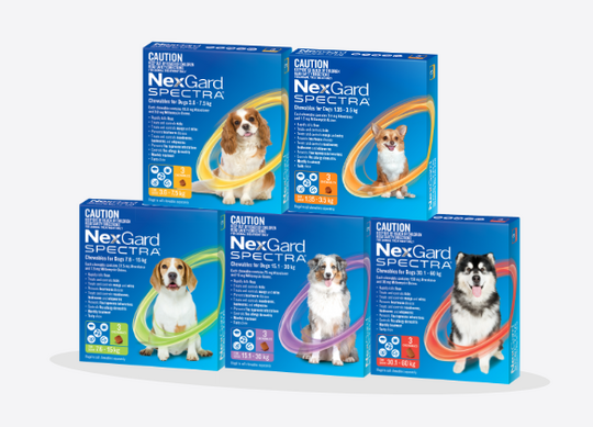 Nexgard for Dogs
